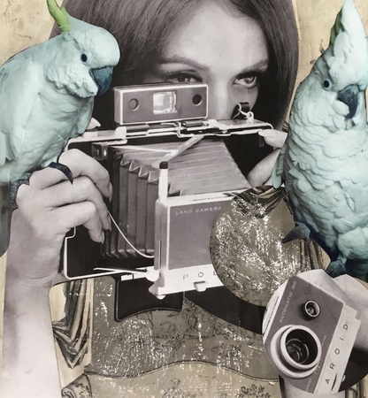 Pola & Roid