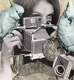 Pola & Roid